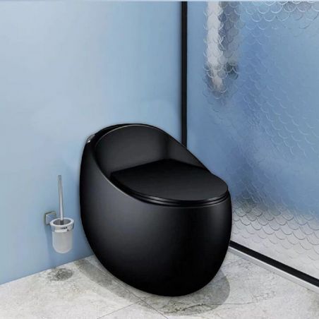 Santa Rimless WC, Einbautank, Mattschwarz, Power Colour, Montageboden, Abdeckung mit Soft -close, Royalty Line von Ego