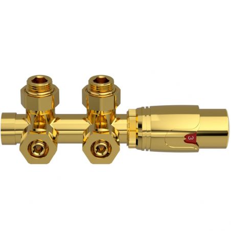 Wasserhahn-Set, Thermostatkopf mit Ventil, 5 Stufen verstellbar, Rundlauf, Gold glänzend