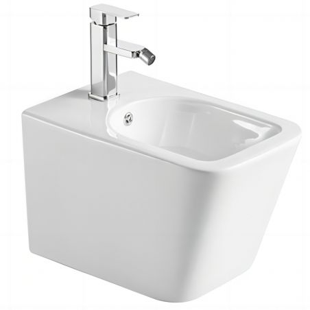 Alfonso Wand-Bidet, 50x34...